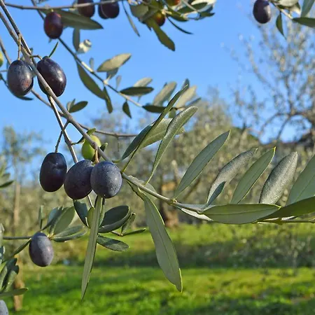 Frühstückspension Armonie Di Incontri