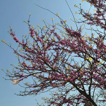 Frühstückspension Armonie Di Incontri