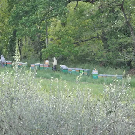 Armonie Di Incontri Nocleg ze śniadaniem Florencja