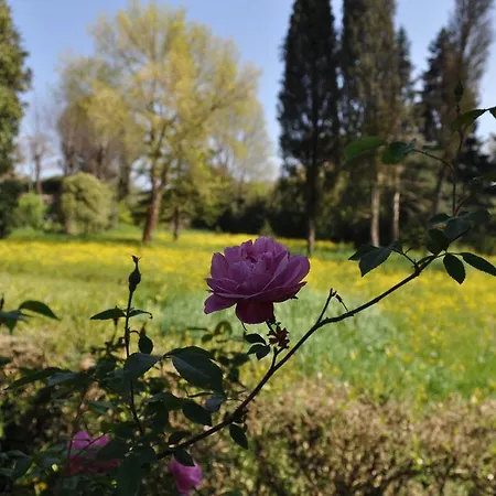Armonie Di Incontri Nocleg ze śniadaniem