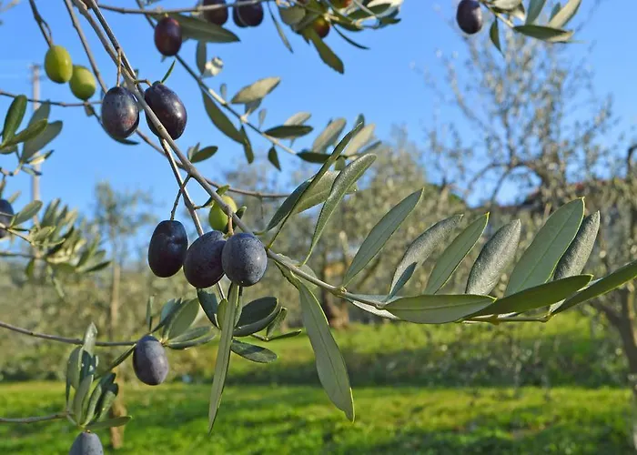 Bed & Breakfast Armonie Di Incontri