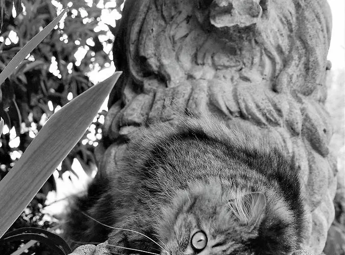 Bed & Breakfast Armonie Di Incontri 4*