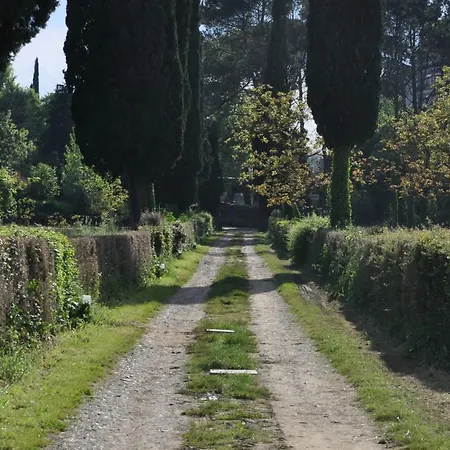 Armonie Di Incontri Firenze