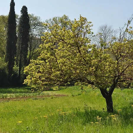 Bed & Breakfast Armonie Di Incontri